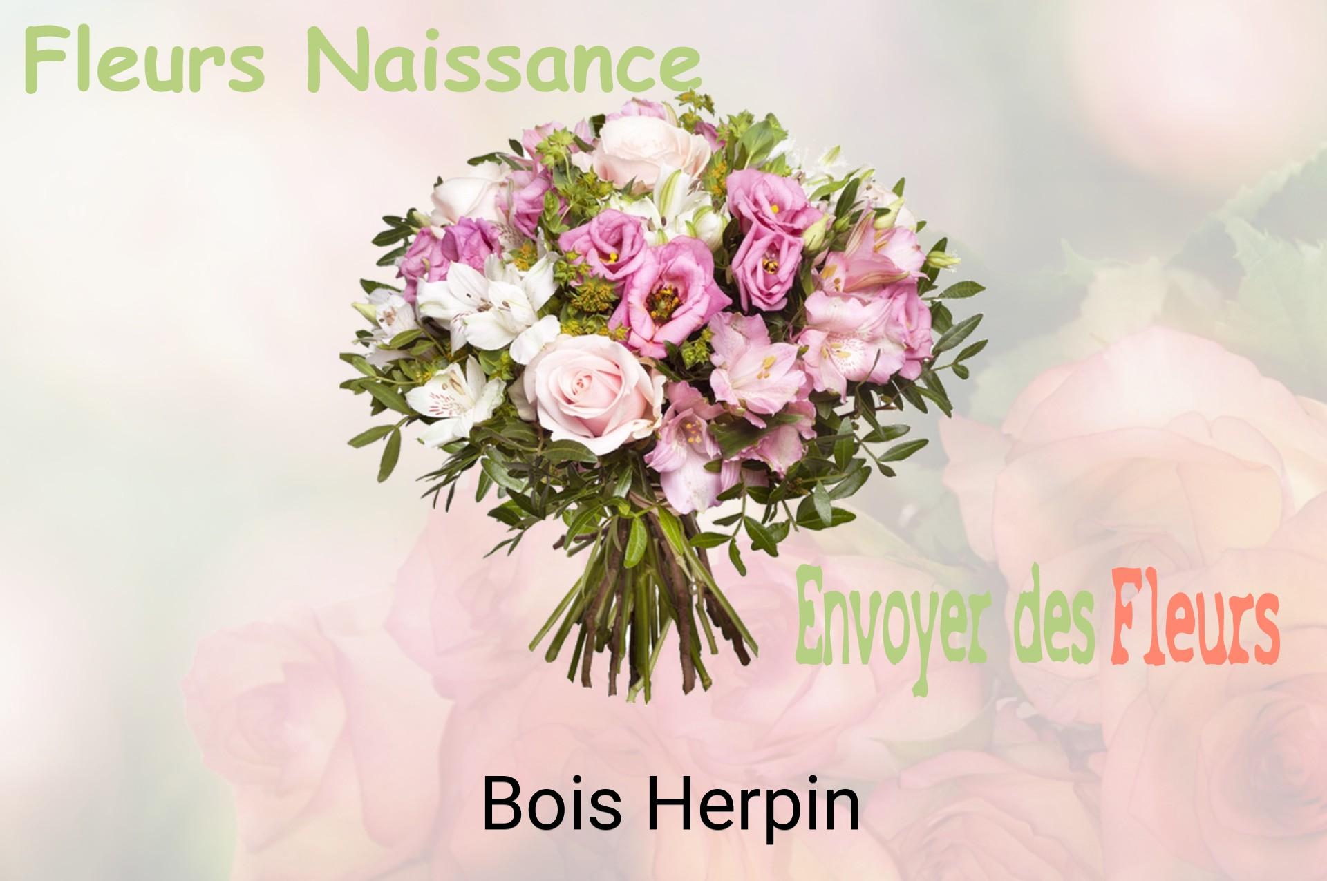Bouquet de fleurs de naissance livré à Bois-Herpin